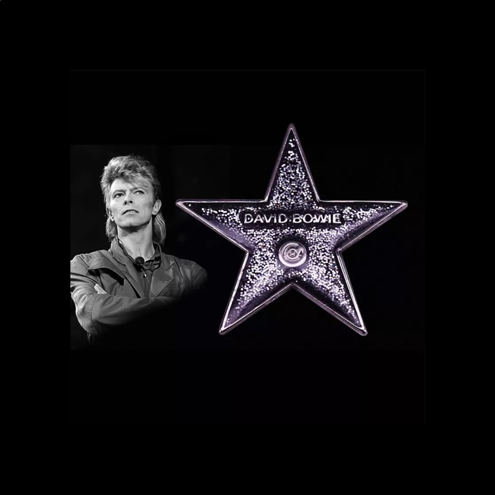 💥Bundle 3 for $25💥 David Bowie Black Star Pin